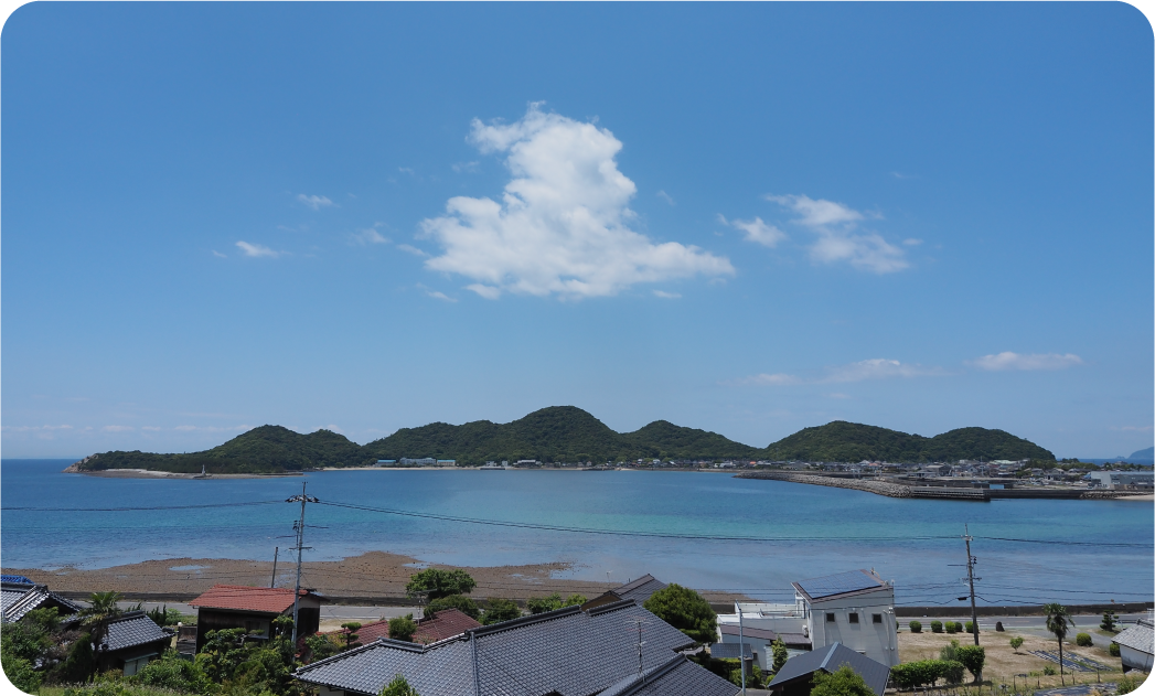 K’sについて